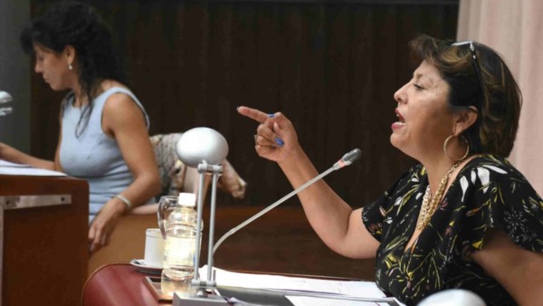 Chubut: Diputada realista: Antes de la minería en la meseta hay que resolver un problema fundamental que es la energía.