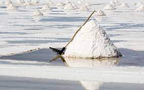 Argentina espera ingresos por 6.000 millones de dólares de la minería en 2023 Argentina espera ingresos por 6.000 millones de dólares de la minería en 2023