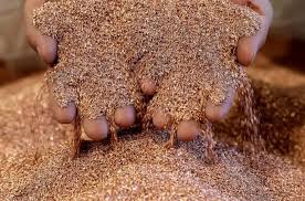 Argentina, potencia mundial en cobre: 6 megaproyectos atraerán inversiones por u$s30.000 millones