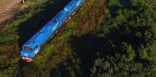 Belgrano Cargas: el tren que disputan cerealeras, una minera global y el litio argentino