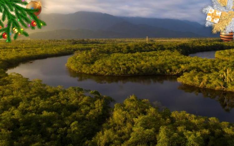 Brasil suspende los permisos de exploración minera en la Amazonia Brasil suspende los permisos de exploración minera en la Amazonia