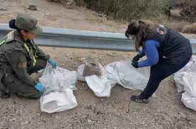 Catamarca: En el Portezuelo secuestraron un cargamento de 700 kilos de sustancia mineral "testigo" Catamarca: En el Portezuelo secuestraron un cargamento de 700 kilos de sustancia mineral "testigo"