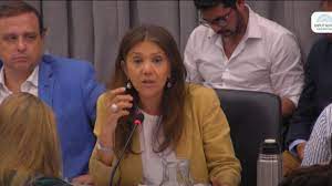 Catamarca: Silvana Ginocchio y la postura sobre YMAD en el debate en el Congreso Catamarca: Silvana Ginocchio y la postura sobre YMAD en el debate en el Congreso
