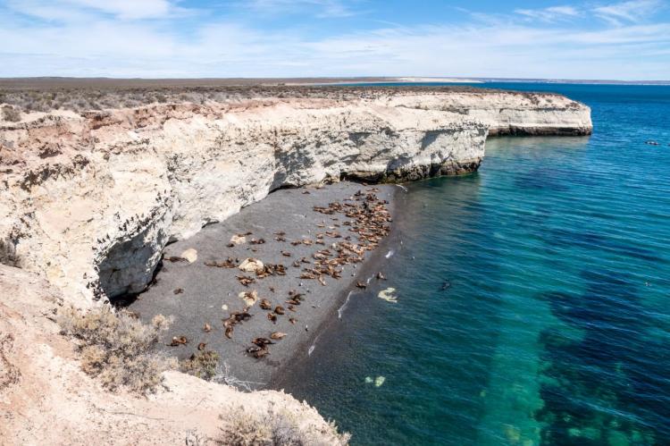 Chubut: El Gobierno impulsa una ley para extraer áridos en forma excepcional dentro del Área Natural Protegida Península Valdés Chubut: El Gobierno impulsa una ley para extraer áridos en forma excepcional dentro del Área Natural Protegida Península Valdés