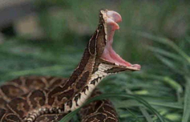 Cuestión de fe: El modelo del FMI beneficia a una minoría rentista y parasitaria Cuestión de fe: El modelo del FMI beneficia a una minoría rentista y parasitaria