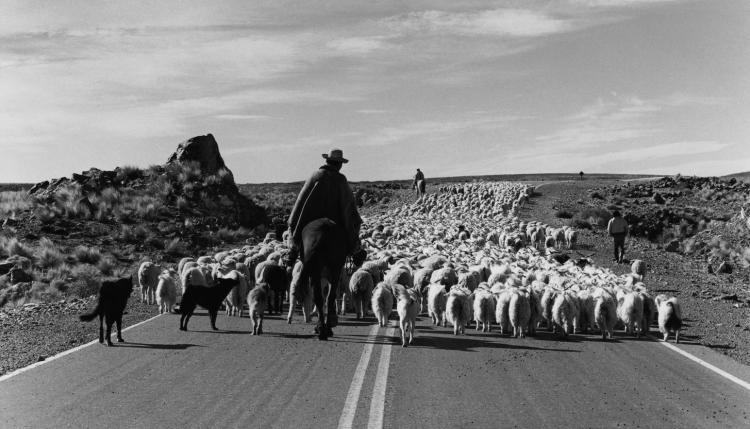¿De qué hablamos cuando hablamos de derrota cultural?, Por José Natanson ¿De qué hablamos cuando hablamos de derrota cultural?, Por José Natanson