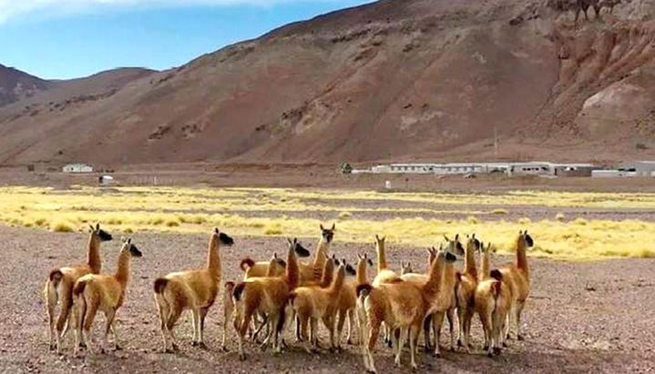 El eje del ambiente sustentable El eje del ambiente sustentable