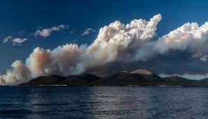 El Gobierno creó una unidad de prevención de delitos ambientales El Gobierno creó una unidad de prevención de delitos ambientales