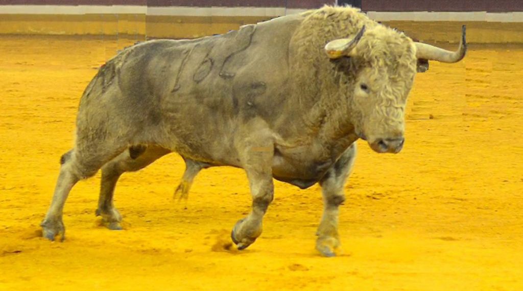 El oro sigue siendo imprescindible para diversificar la cartera de inversión El oro sigue siendo imprescindible para diversificar la cartera de inversión