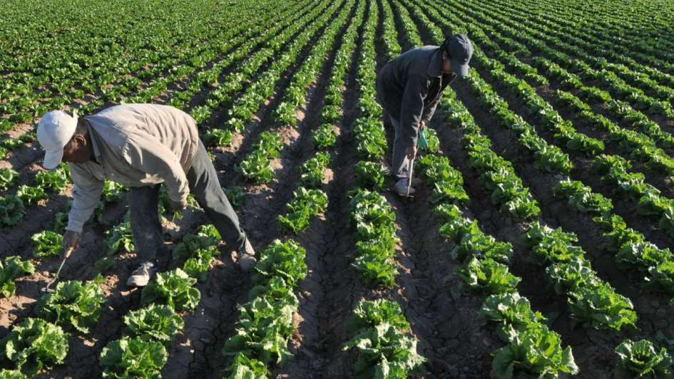 Mendoza: El sector agrícola le pidió al gobernador Suárez que no modifique la 7722 Mendoza: El sector agrícola le pidió al gobernador Suárez que no modifique la 7722