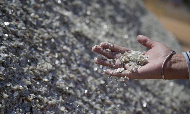 Este jueves se llevará a cabo el primer encuentro Argentino-Alemán de minerales críticos Este jueves se llevará a cabo el primer encuentro Argentino-Alemán de minerales críticos
