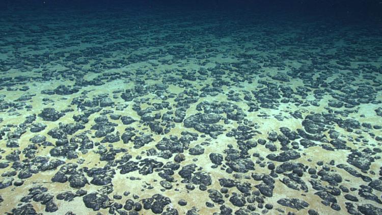 ¿Habrá minería submarina? Crece la presión internacional para aprobar moratoria impulsada por Chile ¿Habrá minería submarina? Crece la presión internacional para aprobar moratoria impulsada por Chile