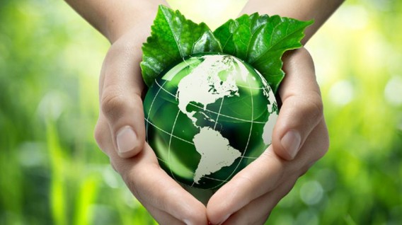CAEM capacitó al panel de la iniciativa HMS sobre Preservación de la Biodiversidad y Comunidades CAEM capacitó al panel de la iniciativa HMS sobre Preservación de la Biodiversidad y Comunidades