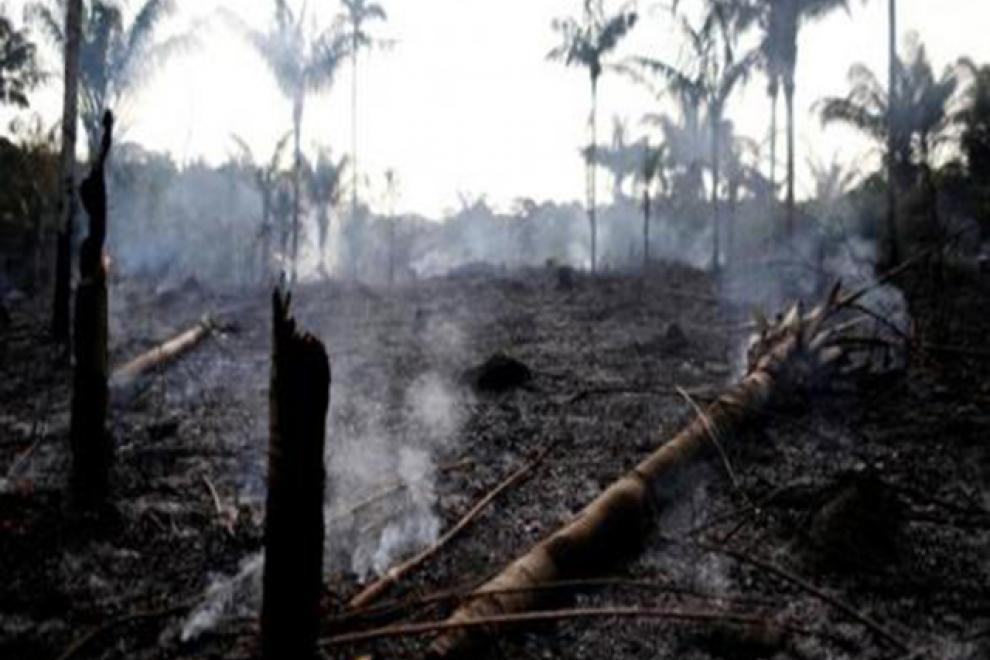 Alertan sobre el impacto que tendrán los incendios de la Amazonia en Argentina