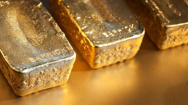 Insólito: candidato catamarqueño de Milei propuso una moneda "con respaldo en oro" Insólito: candidato catamarqueño de Milei propuso una moneda "con respaldo en oro"