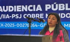 La minería y el "compre local": la competencia de Chile pone en guardia a tres provincias y sus empresas