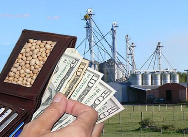 La agroindustria generó divisas por u$s14.340 millones en el primer semestre de este año, vea en que lugar aparece la minería