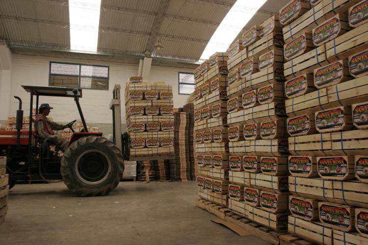Las exportaciones en los primeros cinco meses del año fueron las más altas desde 2014 Las exportaciones en los primeros cinco meses del año fueron las más altas desde 2014