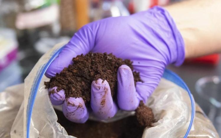 Las proteínas ayudan a separar las tierras raras con más eficacia que la nueva tecnología Las proteínas ayudan a separar las tierras raras con más eficacia que la nueva tecnología