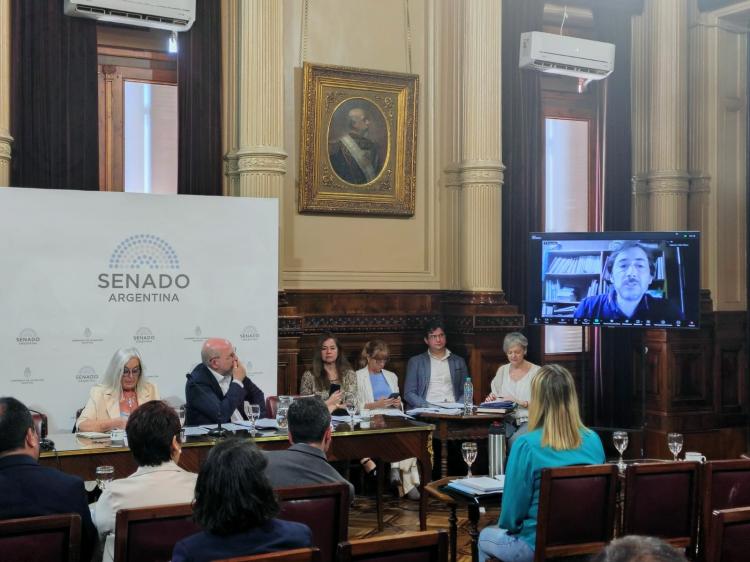 Ley de Glaciares: piden ampliar la audiencia pública ante la masiva inscripción de participantes