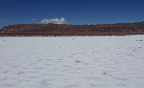 Jujuy: Lithium Americas reiniciará proyecto en la provincia Jujuy: Lithium Americas reiniciará proyecto en la provincia