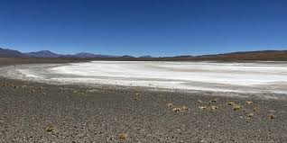 Litio: Argentina duplicará su cuota global para 2027 Litio: Argentina duplicará su cuota global para 2027
