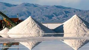 Litio: desembarcó en China comitiva argentina en busca de nuevas inversiones Litio: desembarcó en China comitiva argentina en busca de nuevas inversiones