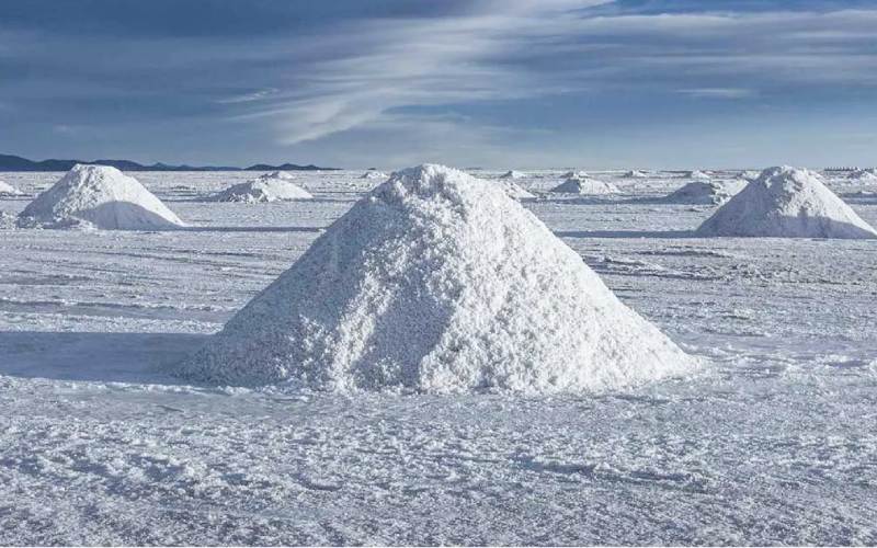 Los mineros de litio en Argentina unen fuerzas para impulsar el sector Los mineros de litio en Argentina unen fuerzas para impulsar el sector