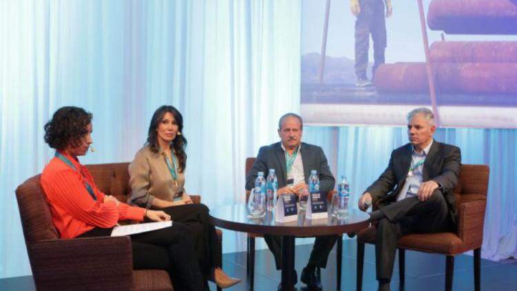 Mendoza: El Gobierno quiere impulsar otro proyecto minero en la provincia, similar a Cerro Amarillo Mendoza: El Gobierno quiere impulsar otro proyecto minero en la provincia, similar a Cerro Amarillo
