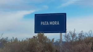 Mendoza lanza licitación internacional para elaborar los proyectos ejecutivos del Polo Logístico Pata Mora Mendoza lanza licitación internacional para elaborar los proyectos ejecutivos del Polo Logístico Pata Mora