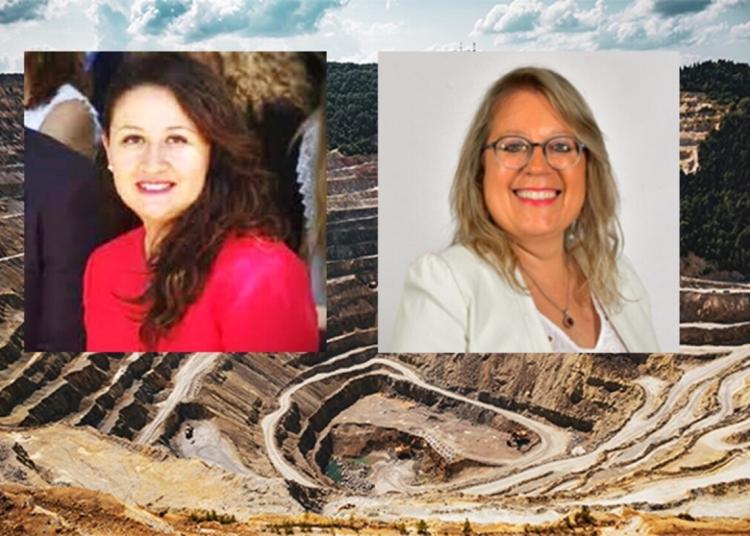 Mendoza: Senadora malarguina habló de minería y le contestaron Mendoza: Senadora malarguina habló de minería y le contestaron