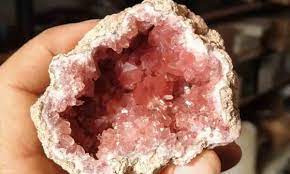 Neuquén: Hallan un tesoro natural único en el mundo en el desierto neuquino Neuquén: Hallan un tesoro natural único en el mundo en el desierto neuquino