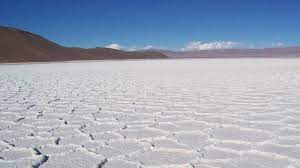 Para regular el mercado internacional, Bolivia, Argentina y Chile buscan crear una "OPEP del litio" Para regular el mercado internacional, Bolivia, Argentina y Chile buscan crear una "OPEP del litio"