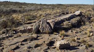 Río Negro: Informe técnico confirma potencial geológico para litio en Yaminué Río Negro: Informe técnico confirma potencial geológico para litio en Yaminué