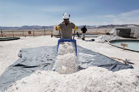 Salta: Arena Minerals adquirirá un gran proyecto de salmuera de litio de alta ley Salta: Arena Minerals adquirirá un gran proyecto de salmuera de litio de alta ley