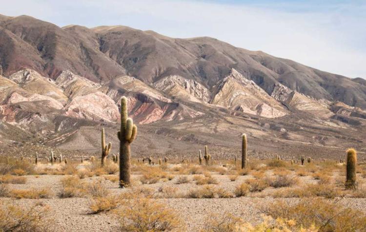 Salta: Podrían explotar oro y cobre en Cachi Salta: Podrían explotar oro y cobre en Cachi