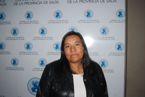 Salta: Por pedido de Los Andes, quedan firmes los informes bianuales de mineras Salta: Por pedido de Los Andes, quedan firmes los informes bianuales de mineras