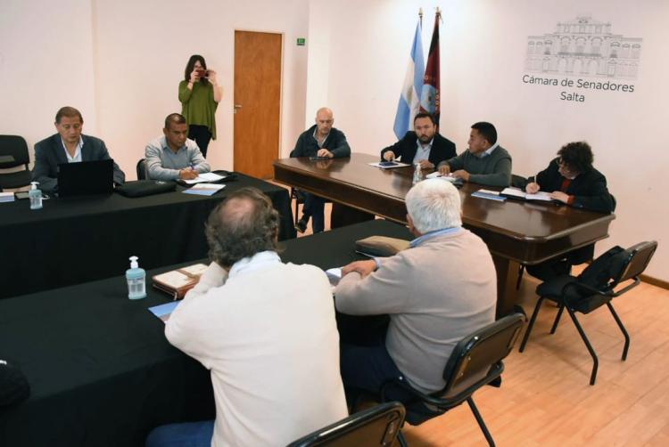 Salta: REMSA detalló en el Senado el trabajo que se desarrolla en las áreas de minería y energía Salta: REMSA detalló en el Senado el trabajo que se desarrolla en las áreas de minería y energía