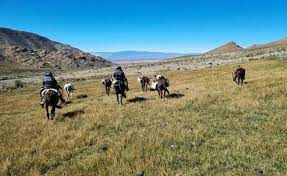 San Juan: Encuentran oro y cobre en nuevos objetivos de exploración del proyecto La Poncha San Juan: Encuentran oro y cobre en nuevos objetivos de exploración del proyecto La Poncha