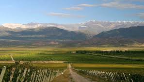 San Juan va por su Plan Estratégico Vitícola y mira a la minería como una aliada del agro San Juan va por su Plan Estratégico Vitícola y mira a la minería como una aliada del agro