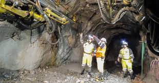 Santa Cruz: CAMICRUZ y la apuesta a una mayor producción y exploración Santa Cruz: CAMICRUZ y la apuesta a una mayor producción y exploración