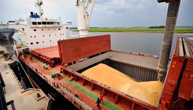 Siete de los diez principales complejos exportadores de la Argentina son agroindustriales Siete de los diez principales complejos exportadores de la Argentina son agroindustriales