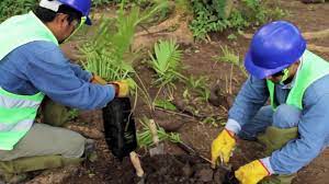 Vamos hacia la "minería verde" Vamos hacia la "minería verde"
